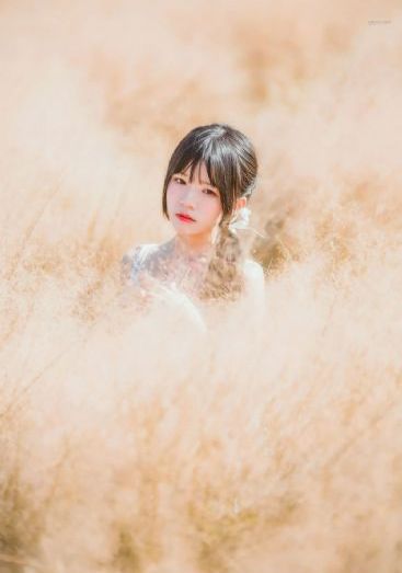 堕落女律师